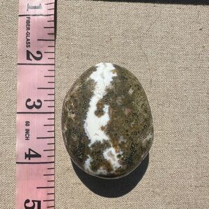 Ocean Jasper Palmstone